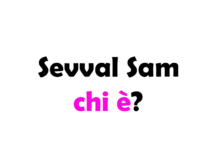 Sevval Sam chi è? Biografia, età, altezza e peso, figli, marito, carriera, Instagram e vita privata