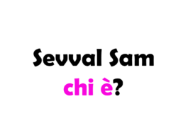 Sevval Sam chi è? Biografia, età, altezza e peso, figli, marito, carriera, Instagram e vita privata