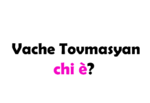 Vache Tovmasyan chi è? Biografia, età, altezza e peso, figli, moglie, carriera, Instagram e vita privata