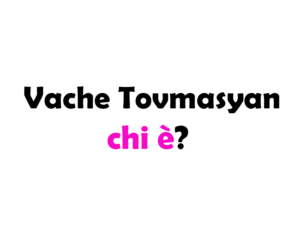 Vache Tovmasyan chi è? Biografia, età, altezza e peso, figli, moglie, carriera, Instagram e vita privata