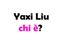 Yaxi Liu chi è?